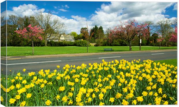 Spring Time In Cobham Surrey Canvas Print by Clive Eariss