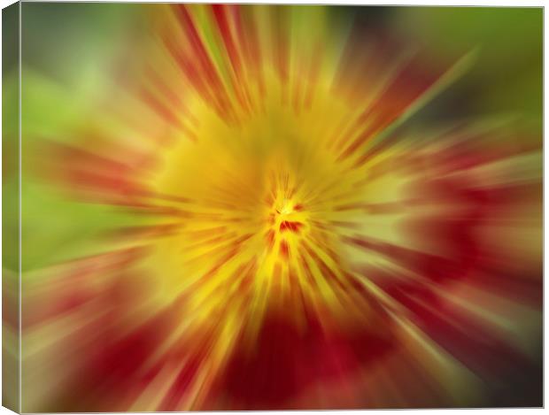 Flora Burst Abstract Canvas Print by Clive Eariss
