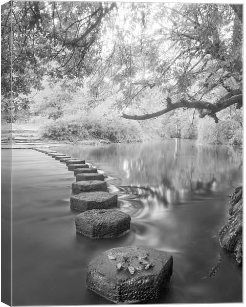 Stepping Stones Box Hill Canvas Print by Clive Eariss