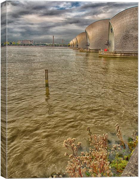 The Thames Barrier  Canvas Print by Clive Eariss