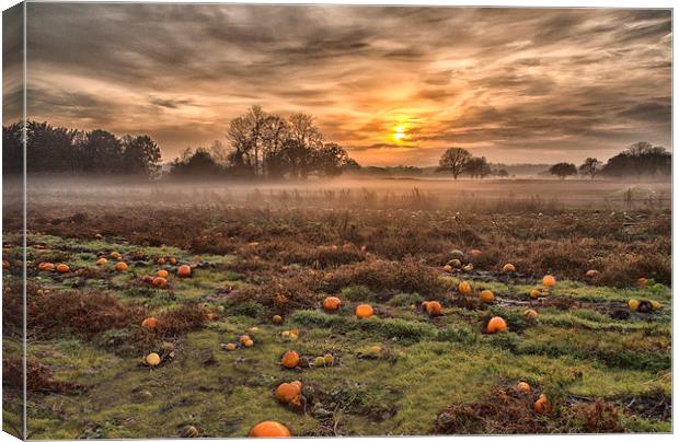  Pumpkins At Dusk Canvas Print by Clive Eariss