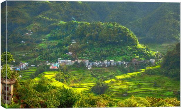  Baguio Rice Terraces Philippines  Canvas Print by Clive Eariss
