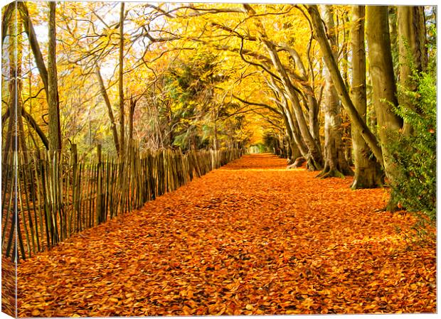  The Fall England Canvas Print by Clive Eariss