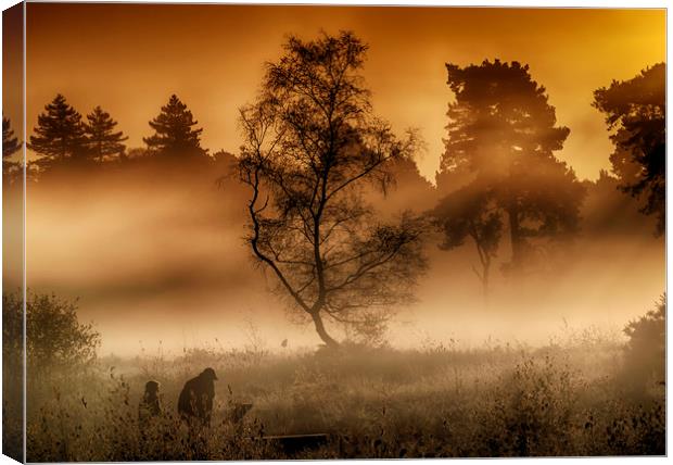  Wisley Common Surrey Canvas Print by Clive Eariss