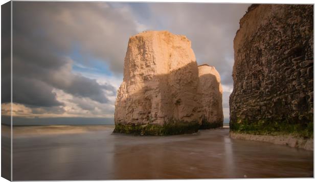 Giants Of Botany Bay Canvas Print by Clive Eariss