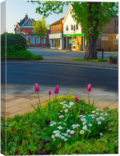 Cobham High Street Canvas Print by Clive Eariss