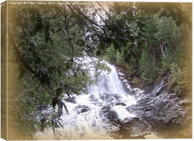 Beaver Brook Falls Canvas Print by Peter Castine