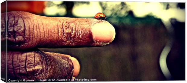 Ladybug on my finger Canvas Print by perriet richard