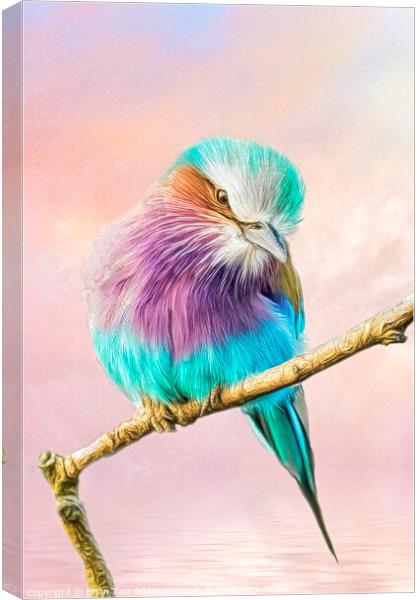 Lilac breasted roller perched on a tree branch Canvas Print by Brian Tarr
