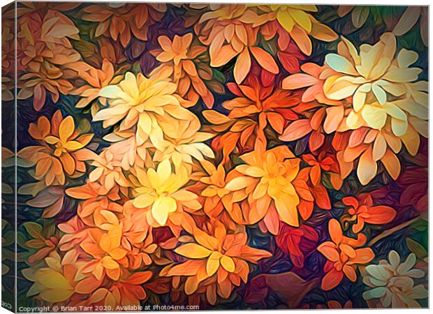 Autumn Glow Canvas Print by Brian Tarr