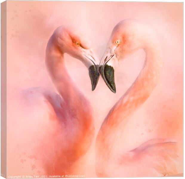 Love is a Flamingo heart Canvas Print by Brian Tarr