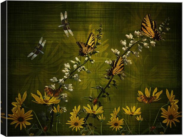 Summers Fling! Canvas Print by Tina Lindsay