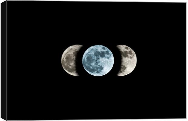 Blue moon phases Canvas Print by Robert clarke