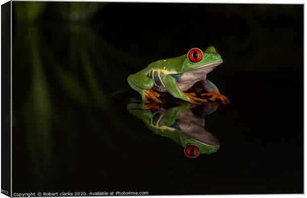 Red Eye Tree Frog Reflection Canvas Print by Robert clarke