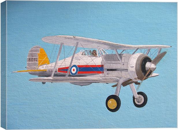 Gloster Gladiator Canvas Print by Olive Denyer