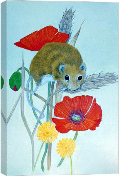 Harvest Mouse Canvas Print by Olive Denyer