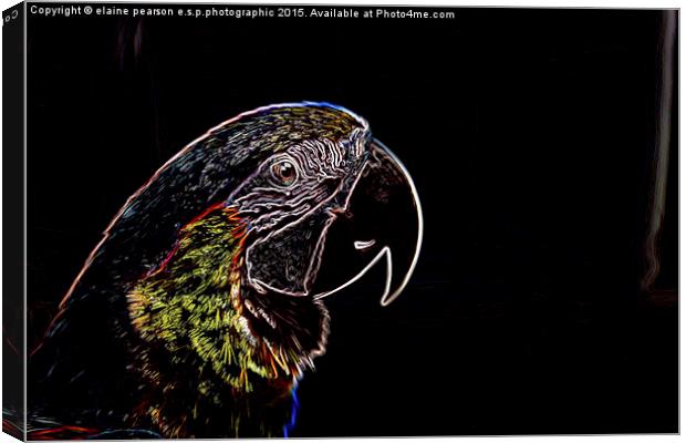  Neon Parrot Canvas Print by Elaine Pearson