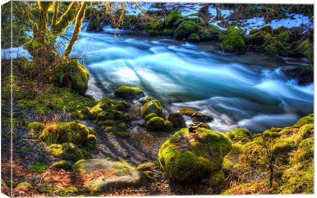 Bird and Stream Canvas Print by Robert Pettitt