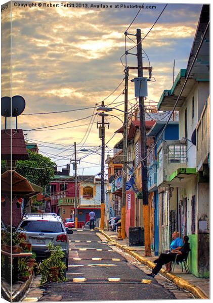 San Juan Suburban Canvas Print by Robert Pettitt