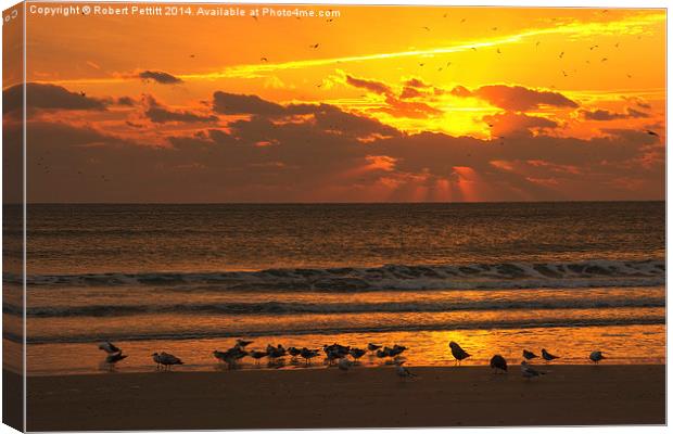Sunrise at the Beach Canvas Print by Robert Pettitt