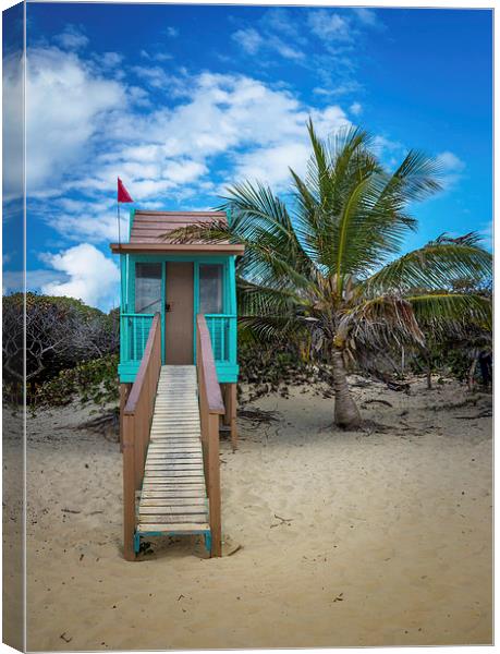 Tropical Portrait Canvas Print by Robert Pettitt