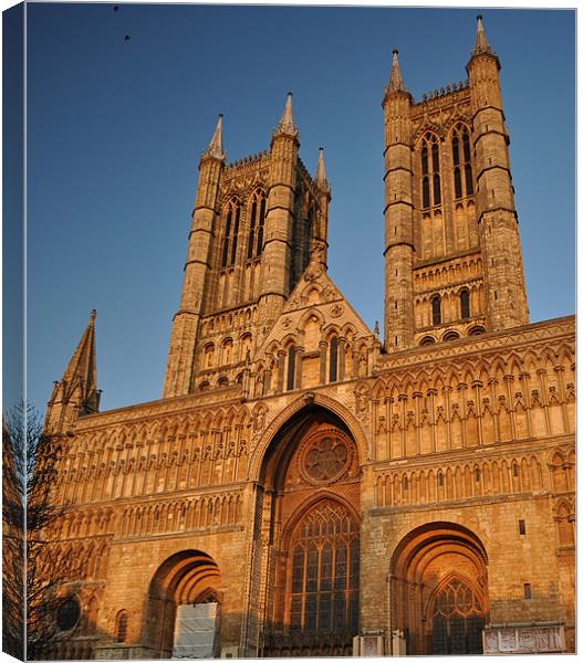 Lincoln Cathedral Canvas Print by Milena Barczak