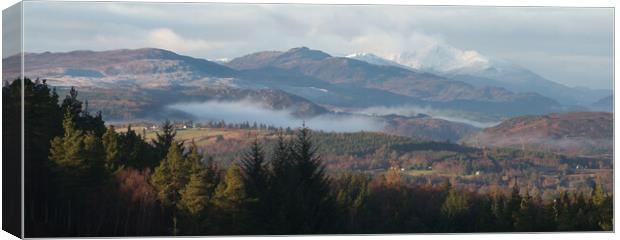 The View From Belladrum Forest Canvas Print by Macrae Images