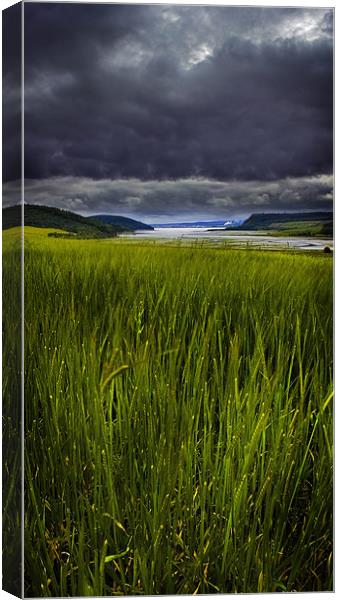 Munlochy bay Canvas Print by Macrae Images