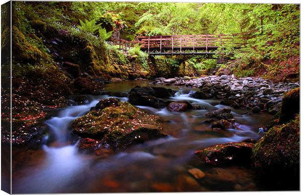 Reelig glen forest walk Canvas Print by Macrae Images