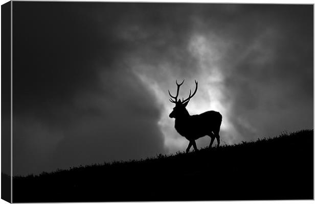 Black and white horizon Canvas Print by Macrae Images