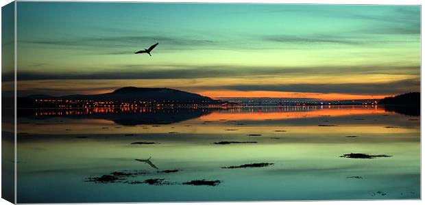 Beauly firth sunrise Canvas Print by Macrae Images