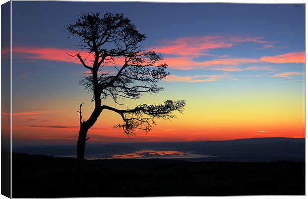 The Beauly Firth Canvas Print by Macrae Images
