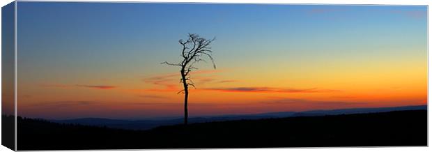 Twilight Canvas Print by Macrae Images
