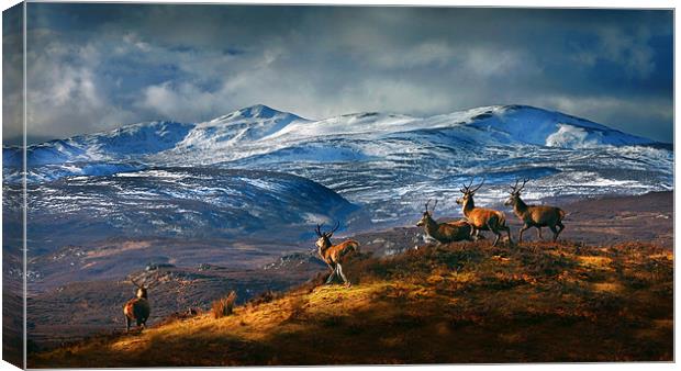 Above Strathglass Canvas Print by Macrae Images