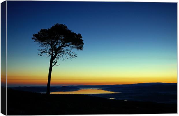 Beauly firth Canvas Print by Macrae Images