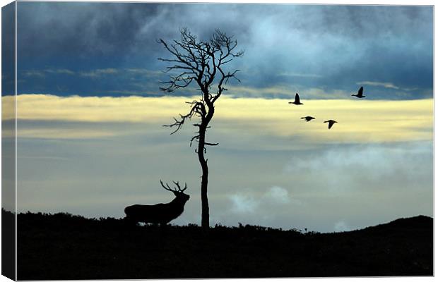 Strathglass Canvas Print by Macrae Images