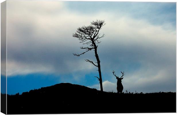 Highland silhouettes Canvas Print by Macrae Images