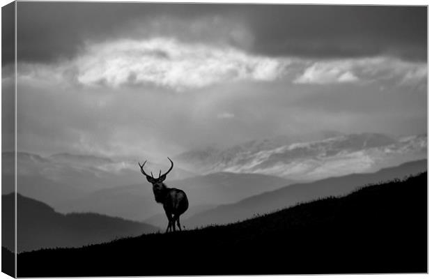 Above the glens Canvas Print by Macrae Images