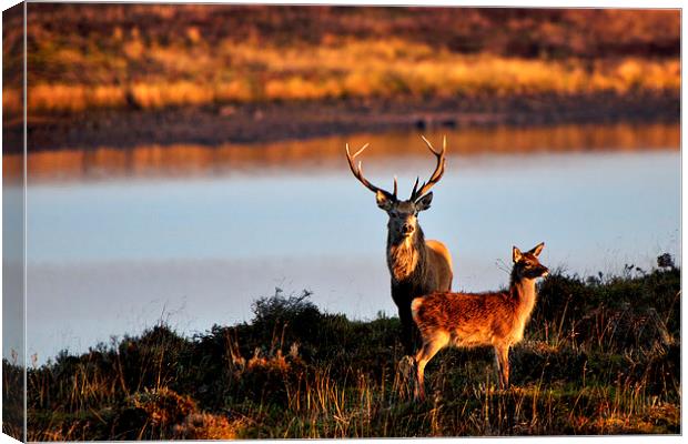  By the Lochside Canvas Print by Macrae Images