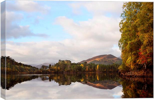  Autumn In Glen Affric Canvas Print by Macrae Images
