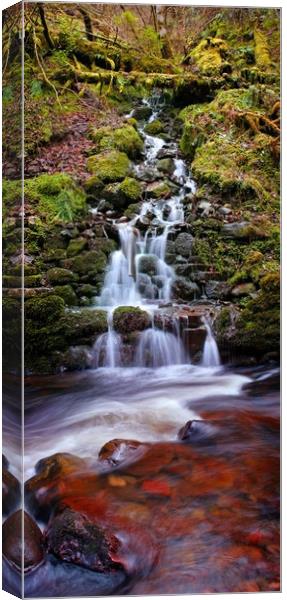 Waterfall at Reelig Canvas Print by Macrae Images