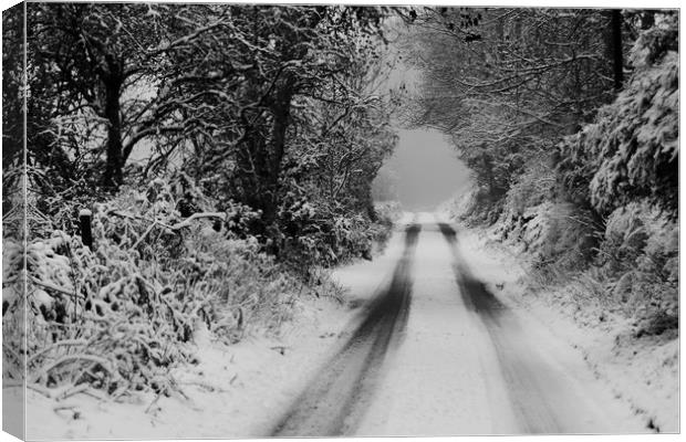 Winter Road Canvas Print by Macrae Images