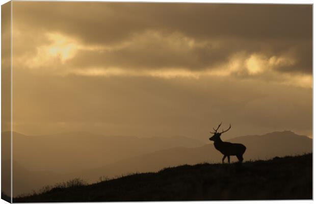 Strathglass Silhouette Canvas Print by Macrae Images