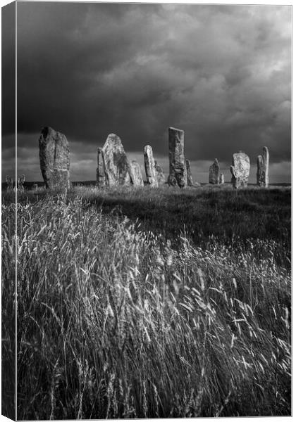 Callanish  Canvas Print by Macrae Images