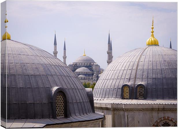 Hagia Sophia, Istanbul Canvas Print by Edward Uwechue