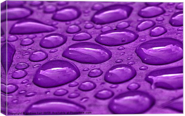 Purple Rain Canvas Print by andrew hall