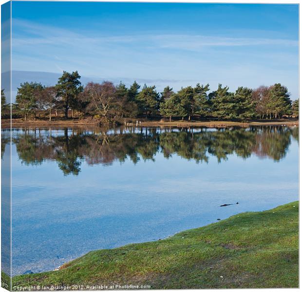 Reflections Canvas Print by Ian Grainger
