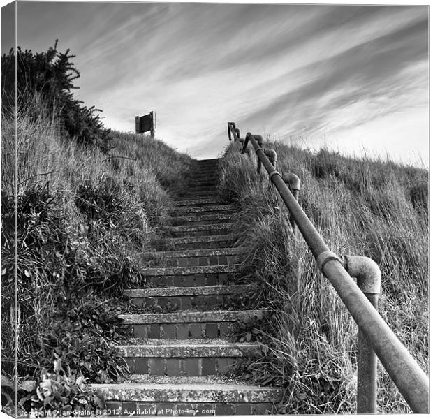 Going Up Canvas Print by Ian Grainger