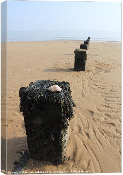 Walton On The Naze Beach Canvas Print by Adrian Wilkins