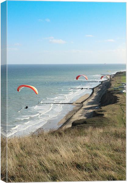 Coastal Flight Canvas Print by Adrian Wilkins